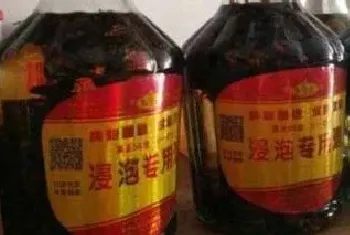 虎头蜂泡酒功效是什么？