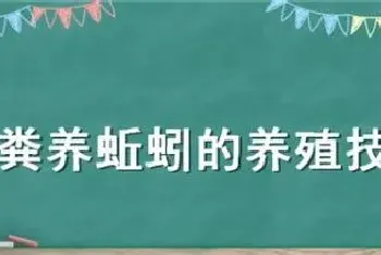 牛粪养蚯蚓的养殖技术