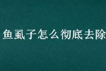 鱼虱子怎么彻底去除