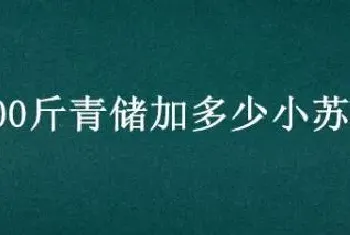 100斤青储加多少小苏打