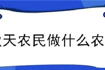 秋天农民做什么农活