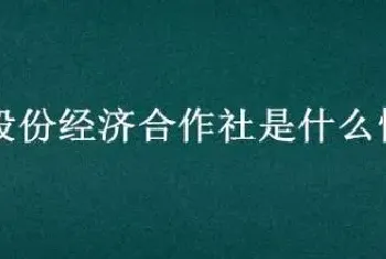 村股份经济合作社是什么性质