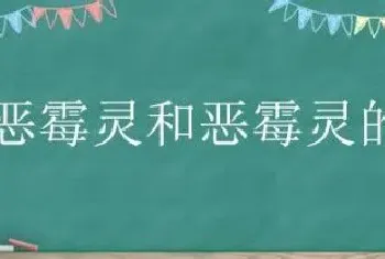 甲霜恶霉灵和恶霉灵的区别