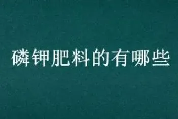 磷钾肥料的有哪些