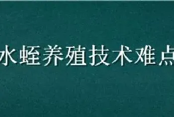 水蛭养殖技术难点