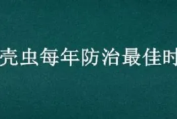 蚧壳虫每年防治最佳时期