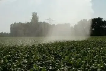 植物什么时候浇水好