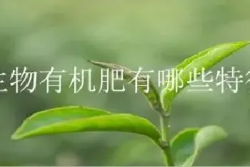 生物有机肥有哪些特征