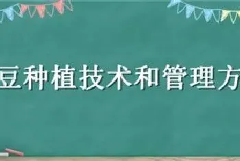 毛豆种植技术和管理方法