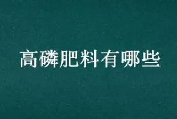 高磷肥料有哪些