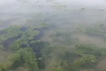 水产腐殖酸钠杀青苔用