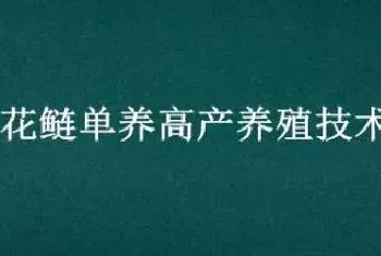 花鲢单养高产养殖技术