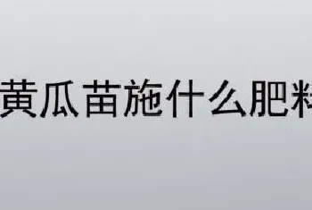 黄瓜苗施什么肥料