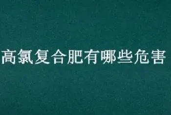 高氯复合肥有哪些危害