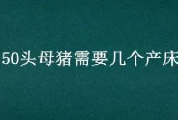 50头母猪需要几个产床