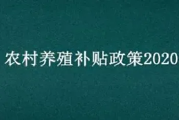 农村养殖补贴政策2020