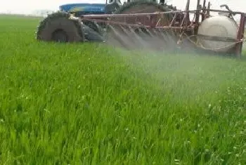 草药打了几个小时下雨无效