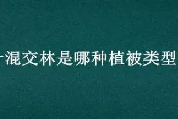 针阔叶混交林是哪种植被类型的代表