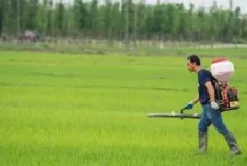 除草剂打后几小时下雨不影响效果