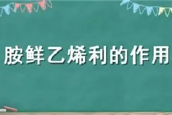 胺鲜乙烯利的作用