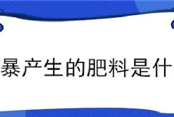 雷暴产生的肥料是什么?