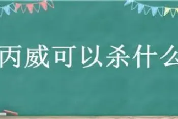 异丙威可以杀什么虫