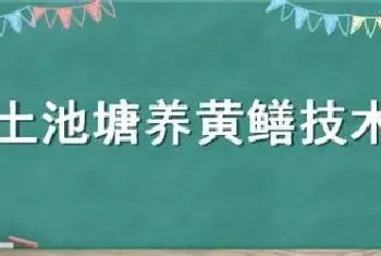 土池塘养黄鳝技术