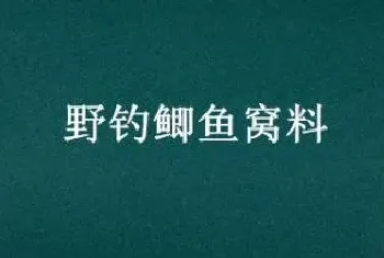 野钓鲫鱼窝料