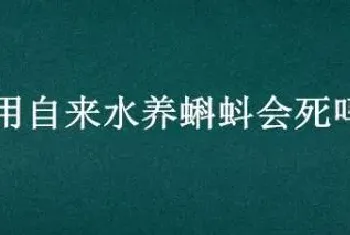 用自来水养蝌蚪会死吗