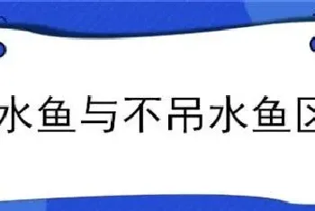 吊水鱼与不吊水鱼区别