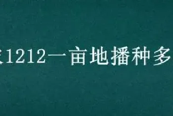 烟农1212一亩地播种多少斤