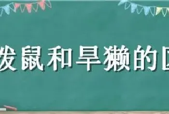 土拨鼠和旱獭的区别