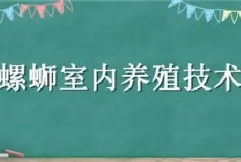 螺蛳室内养殖技术