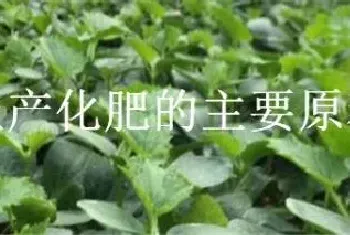 生产化肥的主要原料