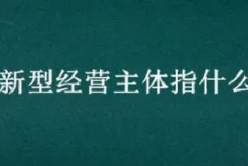 新型经营主体指什么