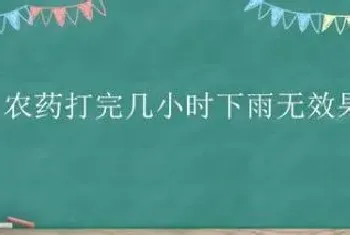 农药打完几小时下雨无效果