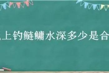 晚上钓鲢鳙水深多少是合适