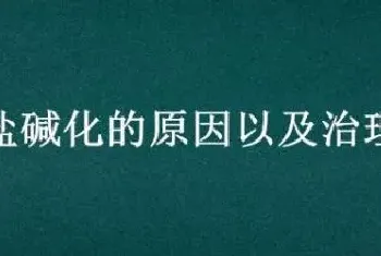 土地盐碱化的原因以及治理措施