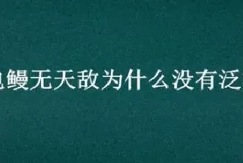 电鳗无天敌为什么没有泛滥