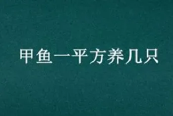 甲鱼一平方养几只