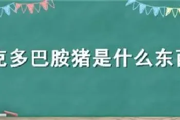 莱克多巴胺猪是什么东西