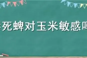 毒死蜱对玉米敏感吗