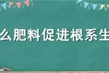 什么肥料促进根系生长