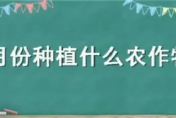 10月份种植什么农作物