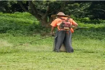 除草剂配水可以放多久