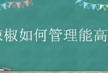 辣椒如何管理能高产