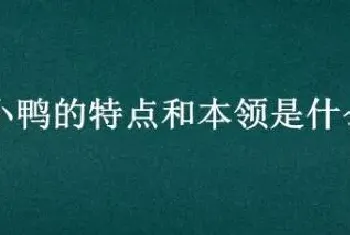 小鸭的特点和本领是什么