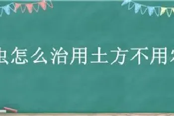 蚜虫怎么治用土方不用农药