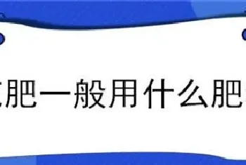 花肥一般用什么肥料