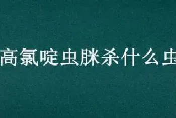 高氯啶虫脒杀什么虫